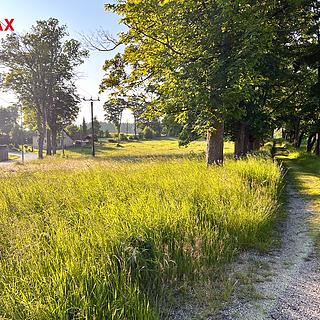 Prodej louky 7210 m² Jindřichovice