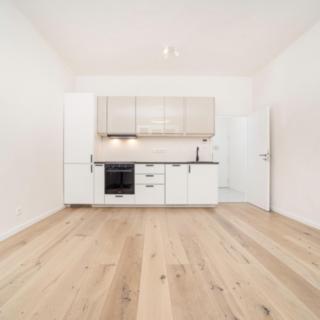 Pronájem bytu 1+kk a garsoniéry 30 m² Praha Michle, Brtnická