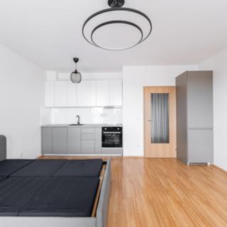Pronájem bytu 1+kk, garsoniery 40 m² Praha