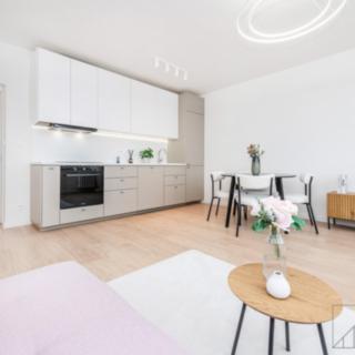 Prodej bytu 2+kk 50 m² Praha Žižkov, Květinková