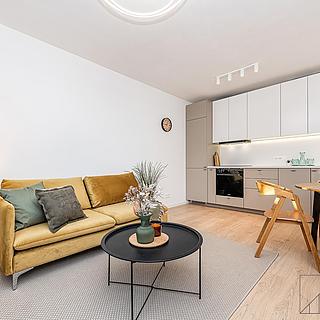 Prodej bytu 3+kk 54 m² Praha Žižkov, Pod lipami