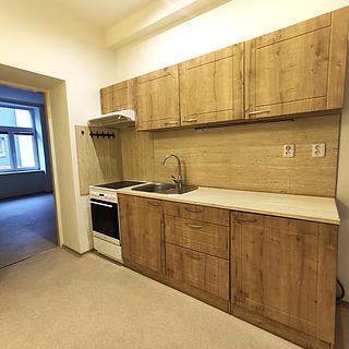 Pronájem bytu 1+1 41 m² Ostrava