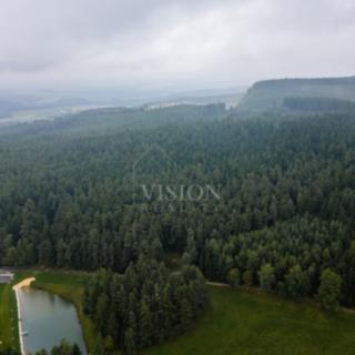 Prodej lesa 85 966 m² Holubov Třísov