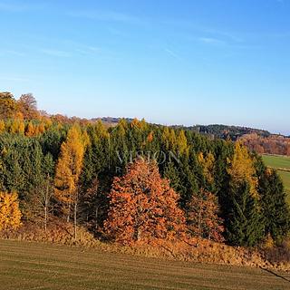 Prodej lesa 6 796 m² Dolní Žďár