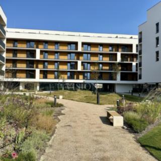 Pronájem bytu 2+kk 59 m² České Budějovice 4, Vrbenská