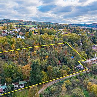 Prodej lesa 10379 m² Hradištko
