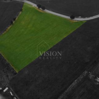 Prodej louky 19 168 m² Holubov