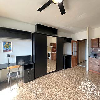 Pronájem bytu 1+kk, garsoniery 29 m&sup2; Frýdek-Místek