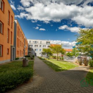 Prodej bytu 1+kk a garsoniéry 32 m² Plzeň Jižní Předměstí, Poděbradova