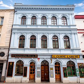 Prodej bytu 5+1 a více 113 m&sup2; Plzeň