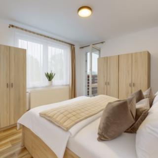 Prodej bytu 3+1 93 m² Člunek