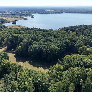 Prodej zemědělské půdy 12 377 m² Třeboň Stará Hlína