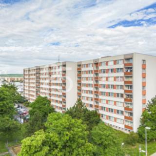 Prodej bytu 3+1 79 m² Mladá Boleslav II, Erbenova
