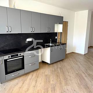 Pronájem bytu 2+kk 58 m² Červený Kostelec