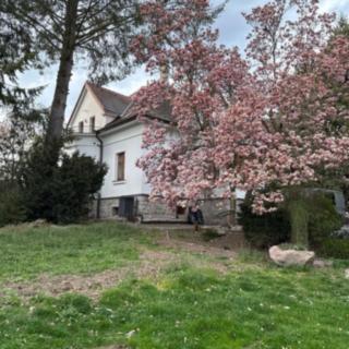 Prodej vily 450 m² Domažlice Týnské Předměstí, Mánesova