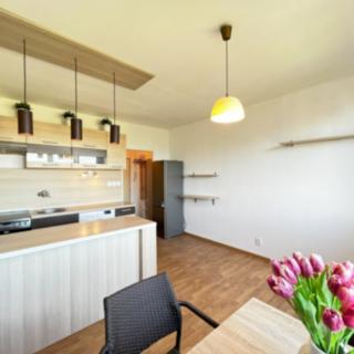 Pronájem bytu 1+1 36 m² České Budějovice 2, J. Opletala