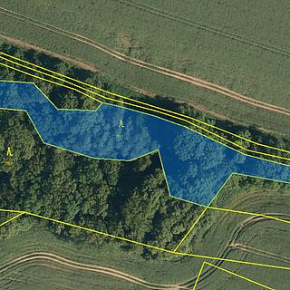 Prodej lesa 4137 m&sup2; Jeseník nad Odrou