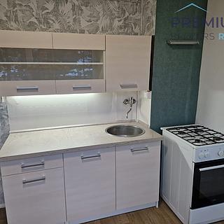Pronájem bytu 2+1 62 m² Chomutov, Holešická