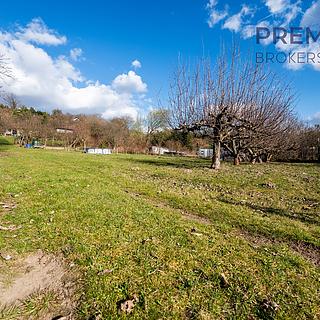 Prodej zahrady 1 199 m² Štětí