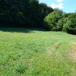 Prodej stavební parcely 6 043 m² Rybniště