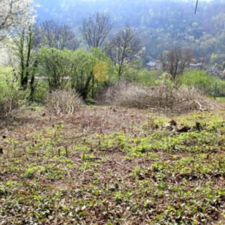 Prodej stavební parcely 1 219 m² Ústí nad Labem Střekov, Litoměřická