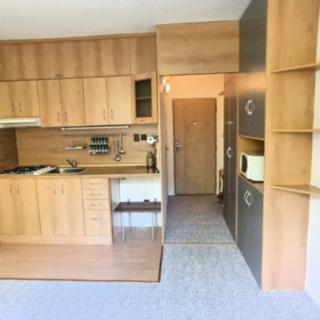 Pronájem bytu 2+kk 36 m² Ústí nad Labem Střekov, Tolstého