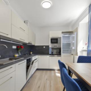 Pronájem bytu 2+1 57 m² Teplice, U nemocnice