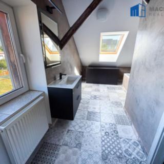 Pronájem bytu 1+kk a garsoniéry 93 m² Teplice Trnovany, Zemská