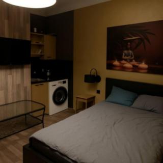 Pronájem bytu 1+kk a garsoniéry 22 m² Praha Žižkov, Hartigova