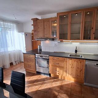 Pronájem bytu 2+1 95 m&sup2; Praha