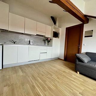 Pronájem bytu 3+kk 60 m&sup2; Praha