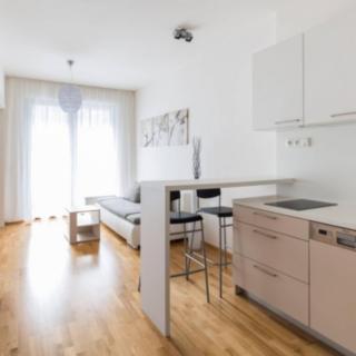 Pronájem bytu 2+kk 44 m² Praha Michle, Baarova