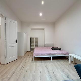 Pronájem bytu 1+1 50 m² Praha
