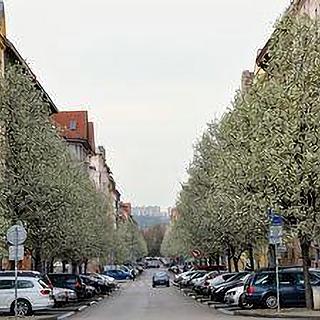 Pronájem výrobního objektu 33 m² Praha Bubeneč, Eliášova