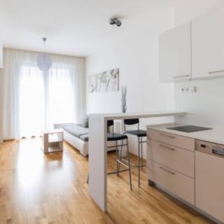 Pronájem bytu 2+kk 44 m² Praha Michle, Baarova