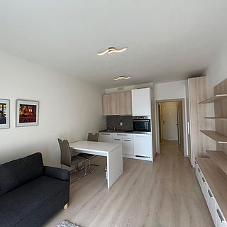 Pronájem bytu 1+kk a garsoniéry 30 m² Praha Vršovice, Petrohradská