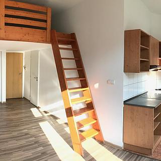 Pronájem bytu 1+kk a garsoniéry 25 m² Praha Vysočany, Freyova