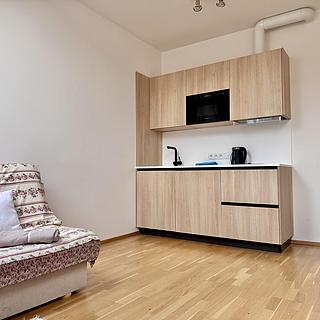 Pronájem bytu 1+kk, garsoniery 24 m&sup2; Praha