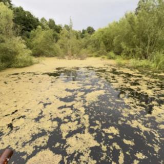Prodej stavební parcely 10 300 m² Psáry