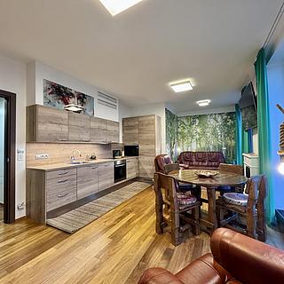 Pronájem bytu 2+kk 72 m² Praha