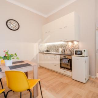 Pronájem bytu 1+1 52 m² Praha
