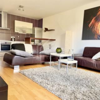 Pronájem bytu 2+kk 57 m² Praha Žižkov, Kališnická
