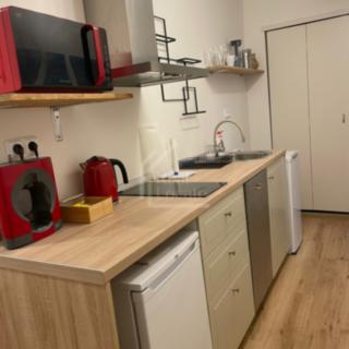 Pronájem bytu 1+kk a garsoniéry 25 m² Praha Vinohrady, Jana Masaryka