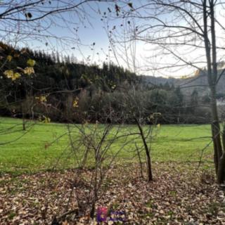 Prodej louky 2 409 m² Jesenný