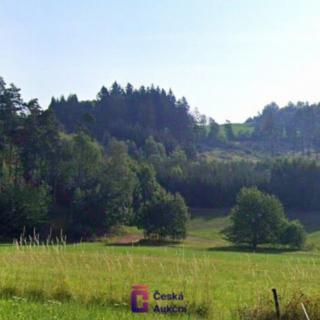 Prodej louky 3 946 m² Levínská Olešnice
