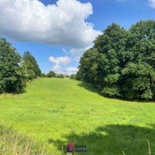 Prodej louky 1 058 m² Troskovice