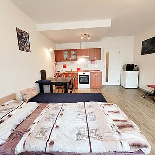 Pronájem bytu 1+kk a garsoniéry 40 m² Brno Komárov, Kovářská