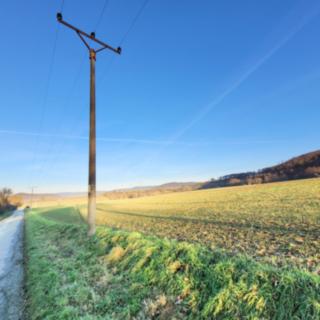 Prodej zemědělské půdy 50000 m² Moravské Knínice