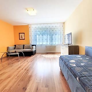 Pronájem bytu 1+kk a garsoniéry 30 m² Brno Židenice, Bořetická