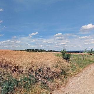 Prodej zemědělské půdy 1 694 m² Lukovany